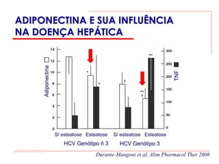 ADIPONECTINA E SUA INFLUÊNCIA
NA DOENÇA HEPÁTICA
     Adiponectina




                                                                      TNF
                    S/ esteatose Esteatose   S/ esteatose Esteatose
                       HCV Genótipo ñ 3        HCV Genótipo 3
                                     Durante-Mangoni et al, Alim Pharmacol Ther 2006
 