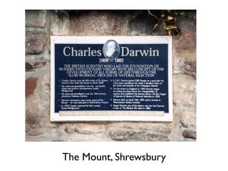 The Mount, Shrewsbury
 
