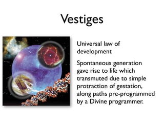 Vestiges
   Universal law of
   development
   Spontaneous generation
   gave rise to life which
   transmuted due to simple
   protraction of gestation,
   along paths pre-programmed
   by a Divine programmer.
 