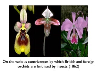 On the various contrivances by which British and foreign
        orchids are fertilised by insects (1862)
 