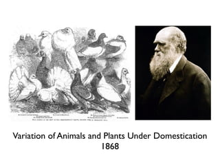 Darwin @ 59 (1868)

Variation of Animals and Plants Under Domestication
                        1868
 
