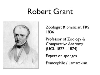 Robert Grant
    Zoologist & physician, FRS
    1836
    Professor of Zoology &
    Comparative Anatomy
    (UCL 1827 - 1874)
    Expert on sponges
    Francophile / Lamarckian
 