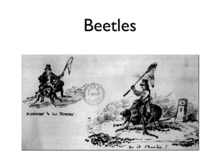Beetles
 