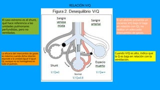 RELACIÓN V/Q
La eficacia del intercambio de gases
es máxima cuando dicha relación
equivale a la unidad (igual V-igual
Q), aunque no es homogénea en
todo el pulmón.
El caso extremo es el shunt,
qué hace referencia a las
unidades pulmonares
perfundidas, pero no
ventiladas.
Si un alvéolo presenta un
cociente V/Q bajo (V baja
en relación con Q), no
realiza un adecuado
intercambio de gases.
Cuando V/Q es alto, indica que
la Q es baja en relación con la
ventilación.
 