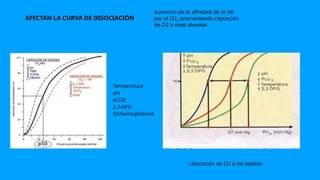 Temperatura
pH
pCO2
2,3-DFG
Dishemoglobinas
AFECTAN LA CURVA DE DISOCIACIÓN
Aumento de la afinidad de la Hb
por el O2, promoviendo captación
de O2 a nivel alveolar.
Liberación de O2 a los tejidos
 