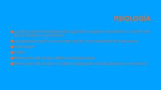 FISIOLOGÍA
●La adecuada homeostasis del organismo requiere mantener la ct de H+ del
LEC en limites muy estrechos.
●La regulación del H+ y por ende del pH, es el resultado de 4 procesos:
●Producción
●Buffers
●Eliminación del ácido volátil a nivel pulmonar
●Eliminación del ácido no volátil y reabsorción de bicarbonato a nivel renal
 