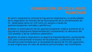 ELIMINACIÓN DE CO2 A NIVEL
PULMONAR
●
El centro respiratorio controla la frecuencia respiratoria y la profundidad
de la respiración en función de las fluctuaciones en la concentración de
H+, detectadas tanto en LCR como en sangre a través de
quimiorreceptores centrales y periféricos.
●
Acidosis: la estimulación de los quimiorreceptores origina aumento en la
frecuencia respiratoria (hiperventilación) ocasionando un descenso del
CO2 alveolar y del ác carbónico plasmático.
●
Alcalosis: el centro respiratorio se deprime (hipoventilación), aumentando
CO2 para contrarrestar el exceso de bicarbonato. La disminución de la
frecuencia está limitada por la necesidad de aporte de O2 del organismo,
lo que origina que, en caso de alcalosis pronunciadas, sea insuficiente.
 