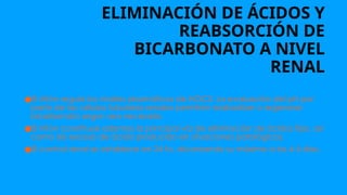 ELIMINACIÓN DE ÁCIDOS Y
REABSORCIÓN DE
BICARBONATO A NIVEL
RENAL
●El riñón regula los niveles plasmáticos de HOC3. La evaluación del pH por
parte de las células tubulares renales permiten reabsorber o regenerar
bicarbonato según sea necesario.
●El riñón constituye ademas la principal vía de eliminación de ácidos fijos, así
como de exceso de ácido producido en situaciones patológicas.
●El control renal se establece en 24 hs, alcanzando su máximo a los 4-5 días.
 