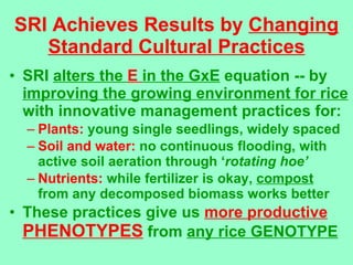 SRI Achieves Results by  Changing Standard Cultural Practices <ul><li>SRI  alters the  E  in the GxE  equation -- by  impr...