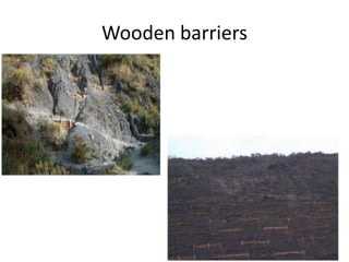 Wooden barriers
 