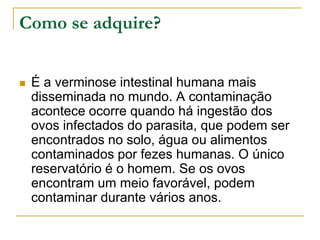 Como se adquire?
 É a verminose intestinal humana mais
disseminada no mundo. A contaminação
acontece ocorre quando há ingestão dos
ovos infectados do parasita, que podem ser
encontrados no solo, água ou alimentos
contaminados por fezes humanas. O único
reservatório é o homem. Se os ovos
encontram um meio favorável, podem
contaminar durante vários anos.
 