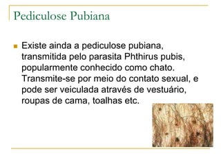 Pediculose Pubiana
 Existe ainda a pediculose pubiana,
transmitida pelo parasita Phthirus pubis,
popularmente conhecido como chato.
Transmite-se por meio do contato sexual, e
pode ser veiculada através de vestuário,
roupas de cama, toalhas etc.
 