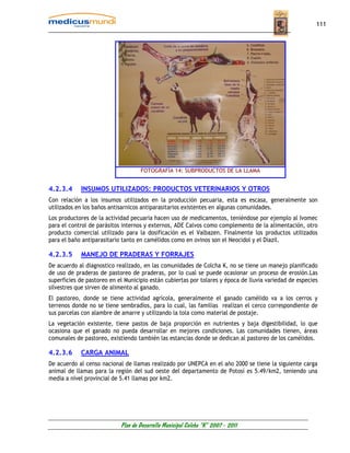 111




                                    FOTOGRAFÍA 14: SUBPRODUCTOS DE LA LLAMA


4.2.3.4     INSUMOS UTILIZADOS: PRODUCTOS VETERINARIOS Y OTROS
Con relación a los insumos utilizados en la producción pecuaria, esta es escasa, generalmente son
utilizados en los baños antisarnicos antiparasitarios existentes en algunas comunidades.
Los productores de la actividad pecuaria hacen uso de medicamentos, teniéndose por ejemplo al Ivomec
para el control de parásitos internos y externos, ADE Calvos como complemento de la alimentación, otro
producto comercial utilizado para la dosificación es el Valbazen. Finalmente los productos utilizados
para el baño antiparasitario tanto en camélidos como en ovinos son el Neocidol y el Diazil.

4.2.3.5     MANEJO DE PRADERAS Y FORRAJES
De acuerdo al diagnostico realizado, en las comunidades de Colcha K, no se tiene un manejo planificado
de uso de praderas de pastoreo de praderas, por lo cual se puede ocasionar un proceso de erosión.Las
superficies de pastoreo en el Municipio están cubiertas por tolares y época de lluvia variedad de especies
silvestres que sirven de alimento al ganado.
El pastoreo, donde se tiene actividad agrícola, generalmente el ganado camélido va a los cerros y
terrenos donde no se tiene sembradíos, para lo cual, las familias realizan el cerco correspondiente de
sus parcelas con alambre de amarre y utilizando la tola como material de postaje.
La vegetación existente, tiene pastos de baja proporción en nutrientes y baja digestibilidad, lo que
ocasiona que el ganado no pueda desarrollar en mejores condiciones. Las comunidades tienen, áreas
comunales de pastoreo, existiendo también las estancias donde se dedican al pastoreo de los camélidos.

4.2.3.6     CARGA ANIMAL
De acuerdo al censo nacional de llamas realizado por UNEPCA en el año 2000 se tiene la siguiente carga
animal de llamas para la región del sud oeste del departamento de Potosí es 5.49/km2, teniendo una
media a nivel provincial de 5.41 llamas por km2.




                            Plan de Desarrollo Municipal Colcha “K” 2007 - 2011
 