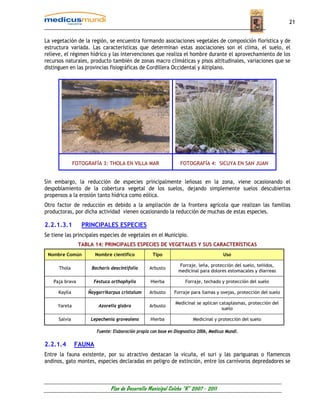 21


La vegetación de la región, se encuentra formando asociaciones vegetales de composición florística y de
estructura variada. Las características que determinan estas asociaciones son el clima, el suelo, el
relieve, el régimen hídrico y las intervenciones que realiza el hombre durante el aprovechamiento de los
recursos naturales, producto también de zonas macro climáticas y pisos altitudinales, variaciones que se
distinguen en las provincias fisiográficas de Cordillera Occidental y Altiplano.




               FOTOGRAFÍA 3: THOLA EN VILLA MAR                  FOTOGRAFÍA 4: SICUYA EN SAN JUAN


Sin embargo, la reducción de especies principalmente leñosas en la zona, viene ocasionando el
despoblamiento de la cobertura vegetal de los suelos, dejando simplemente suelos descubiertos
propensos a la erosión tanto hídrica como eólica.
Otro factor de reducción es debido a la ampliación de la frontera agrícola que realizan las familias
productoras, por dicha actividad vienen ocasionando la reducción de muchas de estas especies.

2.2.1.3.1         PRINCIPALES ESPECIES
Se tiene las principales especies de vegetales en el Municipio.
                 TABLA 14: PRINCIPALES ESPECIES DE VEGETALES Y SUS CARACTERÍSTICAS
 Nombre Común          Nombre científico            Tipo                               Uso

                                                                Forraje, leña, protección del suelo, teñidos,
      Thola           Bacharis deacintifolia      Arbusto
                                                                medicinal para dolores estomacales y diarreas

   Paja brava         Festuca orthophylla         Hierba            Forraje, techado y protección del suelo

      Kaylla        Ñaygarrikarpus cristalum      Arbusto     Forraje para llamas y ovejas, protección del suelo

                                                               Medicinal se aplican cataplasmas, protección del
     Yareta              Azorella glabra          Arbusto
                                                                                     suelo

      Salvia         Lepechenia graveolens        Hierba                Medicinal y protección del suelo

                        Fuente: Elaboración propia con base en Diagnostico 2006, Medicus Mundi.

2.2.1.4        FAUNA
Entre la fauna existente, por su atractivo destacan la vicuña, el suri y las pariguanas o flamencos
andinos, gato montes, especies declaradas en peligro de extinción, entre los carnívoros depredadores se



                              Plan de Desarrollo Municipal Colcha “K” 2007 - 2011
 