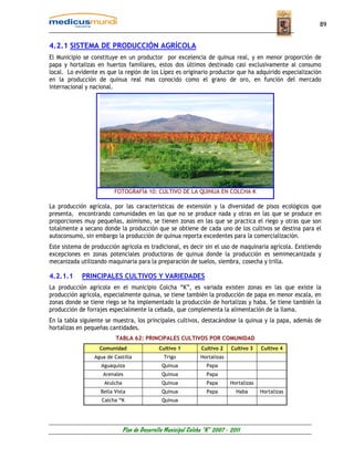 89


4.2.1 SISTEMA DE PRODUCCIÓN AGRÍCOLA
El Municipio se constituye en un productor por excelencia de quinua real, y en menor proporción de
papa y hortalizas en huertos familiares, estos dos últimos destinado casi exclusivamente al consumo
local. Lo evidente es que la región de los Lípez es originario productor que ha adquirido especialización
en la producción de quinua real mas conocido como el grano de oro, en función del mercado
internacional y nacional.




                          FOTOGRAFÍA 10: CULTIVO DE LA QUINUA EN COLCHA K

La producción agrícola, por las características de extensión y la diversidad de pisos ecológicos que
presenta, encontrando comunidades en las que no se produce nada y otras en las que se produce en
proporciones muy pequeñas, asimismo, se tienen zonas en las que se practica el riego y otras que son
totalmente a secano donde la producción que se obtiene de cada uno de los cultivos se destina para el
autoconsumo, sin embargo la producción de quinua reporta excedentes para la comercialización.
Este sistema de producción agrícola es tradicional, es decir sin el uso de maquinaria agrícola. Existiendo
excepciones en zonas potenciales productoras de quinua donde la producción es semimecanizada y
mecanizada utilizando maquinaria para la preparación de suelos, siembra, cosecha y trilla.

4.2.1.1     PRINCIPALES CULTIVOS Y VARIEDADES
La producción agrícola en el municipio Colcha “K”, es variada existen zonas en las que existe la
producción agrícola, especialmente quinua, se tiene también la producción de papa en menor escala, en
zonas donde se tiene riego se ha implementado la producción de hortalizas y haba. Se tiene también la
producción de forrajes especialmente la cebada, que complementa la alimentación de la llama.
En la tabla siguiente se muestra, los principales cultivos, destacándose la quinua y la papa, además de
hortalizas en pequeñas cantidades.
                          TABLA 62: PRINCIPALES CULTIVOS POR COMUNIDAD
                   Comunidad                  Cultivo 1          Cultivo 2    Cultivo 3    Cultivo 4
                 Agua de Castilla                Trigo           Hortalizas
                    Aguaquiza                   Quinua             Papa
                     Arenales                   Quinua             Papa
                     Atulcha                    Quinua             Papa       Hortalizas
                    Bella Vista                 Quinua             Papa         Haba       Hortalizas
                    Calcha “K                   Quinua




                               Plan de Desarrollo Municipal Colcha “K” 2007 - 2011
 