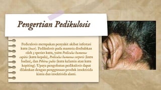 Pengertian Pedikulosis
Pediculosis merupakan penyakit akibat infestasi
kutu (louse). Pedikulosis pada manusia disebabkan
o...