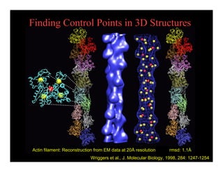 Finding Control Points in 3D Structures
                           Alternative




Actin filament: Reconstruction from EM data at 20Å resolution      rmsd: 1.1Å
                            Wriggers et al., J. Molecular Biology, 1998, 284: 1247-1254
 