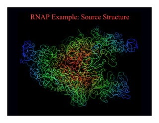 RNAP Example: Source Structure
 