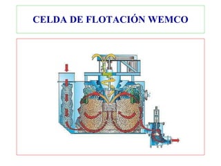 CELDA DE FLOTACIÓN WEMCO 