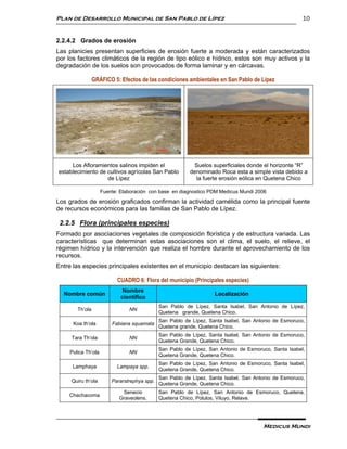 Plan de Desarrollo Municipal de San Pablo de Lípez                                                     10


2.2.4.2 Grados de erosión
Las planicies presentan superficies de erosión fuerte a moderada y están caracterizados
por los factores climáticos de la región de tipo eólico e hídrico, estos son muy activos y la
degradación de los suelos son provocados de forma laminar y en cárcavas.

                 GRÁFICO 5: Efectos de las condiciones ambientales en San Pablo de Lípez




     Los Afloramientos salinos impiden el                  Suelos superficiales donde el horizonte “R”
establecimiento de cultivos agrícolas San Pablo           denominado Roca esta a simple vista debido a
                   de Lípez                                 la fuerte erosión eólica en Quetena Chico

                     Fuente: Elaboración con base en diagnostico PDM Medicus Mundi 2006

Los grados de erosión graficados confirman la actividad camélida como la principal fuente
de recursos económicos para las familias de San Pablo de Lípez.

 2.2.5 Flora (principales especies)
Formado por asociaciones vegetales de composición florística y de estructura variada. Las
características que determinan estas asociaciones son el clima, el suelo, el relieve, el
régimen hídrico y la intervención que realiza el hombre durante el aprovechamiento de los
recursos.
Entre las especies principales existentes en el municipio destacan las siguientes:

                           CUADRO 6: Flora del municipio (Principales especies)
                              Nombre
  Nombre común                                                      Localización
                             científico
                                              San Pablo de Lípez, Santa Isabel, San Antonio de Lípez,
        Th’ola                  NN
                                              Quetena grande, Quetena Chico.
                                              San Pablo de Lípez, Santa Isabel, San Antonio de Esmoruco,
      Koa th’ola         Fabiana squamata
                                              Quetena grande, Quetena Chico.
                                              San Pablo de Lípez, Santa Isabel, San Antonio de Esmoruco,
     Tara Th’ola                NN
                                              Quetena Grande, Quetena Chico.
                                              San Pablo de Lípez, San Antonio de Esmoruco, Santa Isabel,
     Pulica Th’ola              NN
                                              Quetena Grande, Quetena Chico.
                                              San Pablo de Lípez, San Antonio de Esmoruco, Santa Isabel,
      Lamphaya             Lampaya spp.
                                              Quetena Grande, Quetena Chico.
                                              San Pablo de Lípez, Santa Isabel, San Antonio de Esmoruco,
     Quiru th’ola        Pararstrephya spp.
                                              Quetena Grande, Quetena Chico.
                             Senecio          San Pablo de Lípez, San Antonio de Esmoruco, Quetena,
    Chachacoma
                            Graveolens.       Quetena Chico, Polulos, Viluyo, Relave.




                                                                                       Medicus Mundi
 