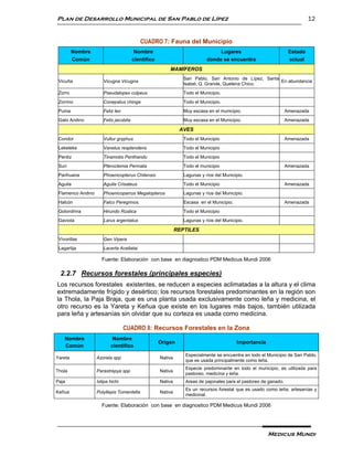 Plan de Desarrollo Municipal de San Pablo de Lípez                                                                          12


                                           CUADRO 7: Fauna del Municipio
         Nombre                         Nombre                                  Lugares                            Estado
         Común                         científico                          donde se encuentra                      actual
                                                        MAMÍFEROS
                                                                San Pablo, San Antonio de Lípez, Santa
 Vicuña               Vicugna Vicugna                                                                  En abundancia
                                                                Isabel, Q. Grande, Quetena Chico.
 Zorro                Pseudalopex culpeus                       Todo el Municipio.
 Zorrino              Conepatus chinga                          Todo el Municipio.
 Puma                 Feliz leo                                 Muy escasa en el municipio.                       Amenazada
 Gato Andino          Felis jacobita                            Muy escasa en el Municipio.                       Amenazada

                                                              AVES
 Condor               Vultur gryphus                            Todo el Municipio                                 Amenazada
 Lekeleke             Vanelus resplendens                       Todo el Municipio
 Perdiz               Tinamotis Penthandu                       Todo el Municipio
 Suri                 Pteroctemia Permata                       Todo el municipio                                 Amenazada
 Parihuana            Phoenicopterus Chilensis                  Lagunas y ríos del Municipio.
 Aguila               Aguila Crisateus                          Todo el Municipio                                 Amenazada
 Flamenco Andino      Phoenicoparrus Megalopterus               Lagunas y ríos del Municipio.
 Halcón               Falco Peregrinos.                         Escasa en el Municipio.                           Amenazada
 Golondrina           Hirundo Rùstica                           Todo el Municipio
 Gaviota              Larus argentatus                          Lagunas y ríos del Municipio.

                                                             REPTILES
 Vìvorillas           Gen Vipera
 Lagartija            Lacerta Acellatai

                     Fuente: Elaboración con base en diagnostico PDM Medicus Mundi 2006

  2.2.7 Recursos forestales (principales especies)
Los recursos forestales existentes, se reducen a especies aclimatadas a la altura y el clima
extremadamente frígido y desértico; los recursos forestales predominantes en la región son
la Thola, la Paja Braja, que es una planta usada exclusivamente como leña y medicina, el
otro recurso es la Yareta y Keñua que existe en los lugares más bajos, también utilizada
para leña y artesanías sin olvidar que su corteza es usada como medicina.

                                  CUADRO 8: Recursos Forestales en la Zona
    Nombre                 Nombre
                                                    Origen                                Importancia
    Común                 científico
                                                                 Especialmente se encuentra en todo el Municipio de San Pablo,
Yareta             Azorela spp.                     Nativa
                                                                 que es usada principalmente como leña.
                                                                 Especie predominante en todo el municipio, es utilizada para
Thola              Parastrepya spp                  Nativa
                                                                 pastoreo, medicina y leña.
Paja               Istipa hichi                     Nativa       Areas de pajonales para el pastoreo de ganado.
                                                                 Es un recursos forestal que es usado como leña, artesanías y
Keñua              Polyllepis Tomentella            Nativa
                                                                 medicinal.

                     Fuente: Elaboración con base en diagnostico PDM Medicus Mundi 2006




                                                                                                        Medicus Mundi
 