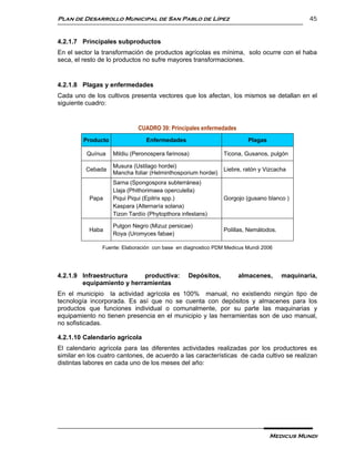 Plan de Desarrollo Municipal de San Pablo de Lípez                                           45


4.2.1.7 Principales subproductos
En el sector la transformación de productos agrícolas es mínima, solo ocurre con el haba
seca, el resto de lo productos no sufre mayores transformaciones.


4.2.1.8 Plagas y enfermedades
Cada uno de los cultivos presenta vectores que los afectan, los mismos se detallan en el
siguiente cuadro:


                             CUADRO 39: Principales enfermedades
         Producto               Enfermedades                           Plagas

          Quínua    Mildiu (Peronospera farinosa)             Ticona, Gusanos, pulgón

                    Musura (Ustilago hordei)
          Cebada                                              Liebre, ratón y Vizcacha
                    Mancha foliar (Helminthosporium hordei)
                    Sarna (Spongospora subterránea)
                    Llaja (Phithorimaea operculella)
           Papa     Piqui Piqui (Epitrix spp.)                Gorgojo (gusano blanco )
                    Kaspara (Alternaría solana)
                    Tizon Tardío (Phytopthora infestans)

                    Pulgon Negro (Mizuz persicae)
           Haba                                               Polillas, Nemátodos.
                    Roya (Uromyces fabae)

               Fuente: Elaboración con base en diagnostico PDM Medicus Mundi 2006




4.2.1.9 Infraestructura    productiva:          Depósitos,         almacenes,        maquinaria,
        equipamiento y herramientas
En el municipio la actividad agrícola es 100% manual, no existiendo ningún tipo de
tecnología incorporada. Es así que no se cuenta con depósitos y almacenes para los
productos que funciones individual o comunalmente, por su parte las maquinarias y
equipamiento no tienen presencia en el municipio y las herramientas son de uso manual,
no sofisticadas.

4.2.1.10 Calendario agrícola
El calendario agrícola para las diferentes actividades realizadas por los productores es
similar en los cuatro cantones, de acuerdo a las características de cada cultivo se realizan
distintas labores en cada uno de los meses del año:




                                                                                Medicus Mundi
 