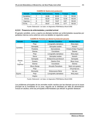 Plan de Desarrollo Municipal de San Pablo de Lípez                                                       49


                                    CUADRO 44: Destino de la producción
             Ganado      Carneado/flia Autoconsumo           Venta          Trueque      Total
            Camélidos           7              42,86         50,00           7,14        100,00
             Ovinos             6              62,50         25,00           12,50       100,00
             Caprinos           8              76,67         16,67           6,67        100,00
          TOTAL                21              60,67         30,56           8,77        100,00
                 Fuente: Elaboración con base en diagnostico PDM Medicus Mundi 2006

4.2.2.6 Presencia de enfermedades y sanidad animal
El ganado camélido, ovino y caprino es afectado también por enfermedades causantes por
parásitos internos como externos como se detallan en siguiente cuadro.

                        CUADRO 45: Parásitos que afectan la producción pecuaria
  Ganado                 Patología                  Nombre Científico                 Nombre Nativo
                            Piojo                 Lonognathu damaliana                   Itha( piojo)
                         Garrapata                   Sarcoptes scabiei                    Karachi
 Camélido
                         Parásitos                     Sarcosistosis             Chiwira (Falsa Triquina)
                          Diarrea                       Coccidiosis                       Diarrea
                            Piojo                 Lonognathu damaliana                   Itha( piojo)
                           Sarna                     Sarcoptes scabiei                    Karachi
                         Garrapata               Amblyomma parvitarsum                   Garrapata
  Ovinos                  Gusano                       Oestrus Ovis                     Muyu muyu
     y
  Caprinos                Diarrea                       Coccidiosis                       Diarrea
                        Qhuru Senqa                 Sinusitis Parasitaria             Nariz con gusano
                            Piojo                                                      Chuymap’usu
                         Bronquitis                 Dictyocaulus filaria                  Uju usu
 Equino                     Piojo                 Lonognathu damaliana                   Itha( piojo)
                           Angina
                 Fuente: Elaboración con base en diagnostico PDM Medicus Mundi 2006



Los problemas principales de los animales recién nacidos son las diarreas que es la causa
principal de la mortalidad en la zona, seguida de la debilidad por falta de alimentación
incluso en adultos; entre las principales enfermedades que afectan al ganado destacan:




                                                                                         Medicus Mundi
 