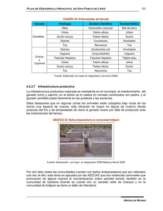 Plan de Desarrollo Municipal de San Pablo de Lípez                                                 50


                              CUADRO 46: Enfermedades del Ganado
      Ganado               Patología                 Nombre Científico            Nombre Nativo
                             Aftas                   Estomatitis vesicular         Mal de tierra
                             Uñera                       Fiebre aftosa                Uñera
    Camélido             Sucho onq’oy                    Fiebre rábica                Sucho
                            Diarrea                      Coccidiosis                Kechalera
                              Tos                         Neumonía                     Tos
                            Diarrea                    Escherichia coli             K’echalera
                           Ceguera                      Conjuntivitivitis            Ceguera
      Ovinos           Fasciola Hepatica              Fasciola Hepatica            Tálpha laqu
         y
      Caprinos               Uñera                       Fiebre aftosa                uñera
                         Sucho onq’oy                    Fiebre rábica                Sucho
                              Tos                         Neumonía                     Tos
                       Fuente: Elaborado con base en diagnóstico comunal (2006)



4.2.2.7 Infraestructura productiva
La infraestructura productiva mejorada es inexistente en el municipio, el mantenimiento del
ganado ovino y caprino, en el sector se lo realiza en corrales construidos con piedra, y el
ganado camélido pasta libremente en las praderas y las serranías.
Debe destacarse que en algunas zonas los animales están cobijados bajo rocas de los
cerros una especie de cuevas; esta situación es mayor en época de invierno donde
producto del frío y de tempestades de nieve el ganado muere por falta de protección ante
las inclemencias del tiempo.

                      GRÁFICO 25: Baño antiparasitario en comunidad Kollpani




                 Fuente: Elaboración con base en diagnostico PDM Medicus Mundi 2006



Por otro lado; todas las comunidades cuentan con baños antiparasitarios que son utilizados
una vez al año; esta tarea es apoyada por las AZCCAS que son instancias comunales que
promueven de alguna manera la concientización sobre sanidad animal; también en la
comunidad de Quetena Grande se cuenta con un secador solar de charque y en la
comunidad de Kollpani se tiene un taller de hilandería.




                                                                                    Medicus Mundi
 