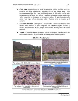 Plan de Desarrollo Municipal Mojinete 2007 - 2011                                                     7

           Puna baja: Localizado en un rango de altitud de 3200 a los 3600 m.s.n.m.,
            presenta un clima mesotermal, templado frio en las partes altas,         con
            temperaturas de 10 a 13ºC y una precipitación anual de 300 a 400 mm/por año,
            con paisaje montañosos, con laderas irregulares onduladas y escarpadas, con
            valles profundos; en esta zona se encuentran cultivos de gramíneas de malle
            como maíz, trigo, cultivos de papa, haba y frutales como la manzana y el
            durazno.

           Cabecera de valle: Corresponde a comunidades o estancias ubicadas entre
            2800 a 3200 m.s.n.m. de clima templado, con cobertura vegetal arbustiva y
            arbórea, especialmente churqui, palqui, katawi, molles, tholas y cactus de varias
            especies.

           Valles: El ámbito ecológico varía entre 2400 a 2800 n.sn.m., se caracteriza por
            la producción de maiz, trigo, hortalizas, frutales y ganado caprino y ovino.

                                     GRÁFICO 2: Pisos Ecológicos




                                                      Piso ecologico cabecera de Valle (2800 a 3200
Piso ecologico Valle (2400 a 2800 msnsm.): Mojinete
                                                                 msnsm.): Casa Pintada




  Piso ecologico Puna Baja (3200 a 3600 msnsm.):    Piso ecologico Altoandino (3600 a 4000 msnm):
                   Casa Grande                                        Pueblo viejo
                Fuente: Elaboración con base en Diagnóstico 2006, Medicus Mundi



                                                                                     Medicus Mundi
 