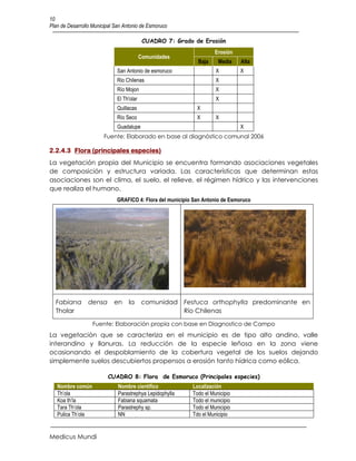 10
Plan de Desarrollo Municipal San Antonio de Esmoruco

                                           CUADRO 7: Grado de Erosión
                                                                     Erosión
                                          Comunidades
                                                             Baja     Media    Alta
                             San Antonio de esmoruco                 X         X
                             Rio Chilenas                            X
                             Río Mojon                               X
                             El Th'olar                              X
                             Quillacas                       X
                             Río Seco                        X       X
                             Guadalupe                                         X
                        Fuente: Elaborado en base al diagnóstico comunal 2006

2.2.4.3 Flora (principales especies)
La vegetación propia del Municipio se encuentra formando asociaciones vegetales
de composición y estructura variada. Las características que determinan estas
asociaciones son el clima, el suelo, el relieve, el régimen hídrico y las intervenciones
que realiza el humano.
                             GRAFICO 4: Flora del municipio San Antonio de Esmoruco




  Fabiana        densa      en     la     comunidad Festuca orthophylla predominante en
  Tholar                                            Río Chilenas

                   Fuente: Elaboración propia con base en Diagnostico de Campo
La vegetación que se caracteriza en el municipio es de tipo alto andino, valle
interandino y llanuras. La reducción de la especie leñosa en la zona viene
ocasionando el despoblamiento de la cobertura vegetal de los suelos dejando
simplemente suelos descubiertos propensos a erosión tanto hídrica como eólica.

                         CUADRO 8: Flora de Esmoruco (Principales especies)
   Nombre común               Nombre científico            Localización
   Th’ola                     Parastrephya Lepidophylla    Todo el Municipio
   Koa th’la                  Fabiana squamata             Todo el municipio
   Tara Th’ola                Parastrephy sp.              Todo el Municipio
   Pulica Th’ola              NN                           Tdo el Municipio


Medicus Mundi
 