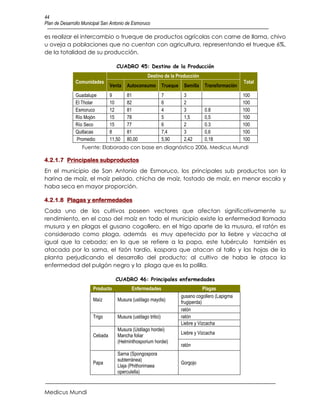 44
Plan de Desarrollo Municipal San Antonio de Esmoruco

es realizar el intercambio o trueque de productos agrícolas con carne de llama, chivo
u oveja a poblaciones que no cuentan con agricultura, representando el trueque 6%,
de la totalidad de su producción.

                                   CUADRO 45: Destino de la Producción
                                                    Destino de la Producción
               Comunidades                                                                           Total
                                Venta   Autoconsumo            Trueque    Semilla   Transformación
               Guadalupe        9       81                     7          3                          100
               El Tholar        10      82                     6          2                          100
               Esmoruco         12      81                     4          3         0.8              100
               Río Mojón        15      78                     5          1,5       0,5              100
               Río Seco         15      77                     6          2         0.3              100
               Quillacas        8       81                     7,4        3         0,6              100
               Promedio         11,50   80,00                  5,90       2,42      0,18             100
                  Fuente: Elaborado con base en diagnóstico 2006, Medicus Mundi

4.2.1.7 Principales subproductos
En el municipio de San Antonio de Esmoruco, los principales sub productos son la
harina de maíz, el maíz pelado, chicha de maíz, tostado de maíz, en menor escala y
haba seca en mayor proporción.

4.2.1.8 Plagas y enfermedades
Cada uno de los cultivos poseen vectores que afectan significativamente su
rendimiento, en el caso del maíz en todo el municipio existe la enfermedad llamada
musura y en plagas el gusano cogollero, en el trigo aparte de la musura, el ratón es
considerado como plaga, además es muy apetecido por la liebre y vizcacha al
igual que la cebada; en lo que se refiere a la papa, este tubérculo también es
atacada por la sarna, el tizón tardío, kaspara que atacan al tallo y las hojas de la
planta perjudicando el desarrollo del producto; al cultivo de haba le ataca la
enfermedad del pulgón negro y la plaga que es la polilla.

                                   CUADRO 46: Principales enfermedades
                       Producto            Enfermedades                              Plagas
                                                                         gusano cogollero (Lapigma
                       Maíz        Musura (ustilago maydis)              frugiperda)
                                                                         ratón
                       Trigo       Musura (ustilago tritici)             ratón
                                                                         Liebre y Vizcacha
                                   Musura (Ustilago hordei)
                       Cebada      Mancha foliar                         Liebre y Vizcacha
                                   (Helminthosporium hordei)
                                                                         ratón
                                   Sarna (Spongospora
                                   subterránea)
                       Papa                                              Gorgojo
                                   Llaja (Phithorimaea
                                   operculella)


Medicus Mundi
 
