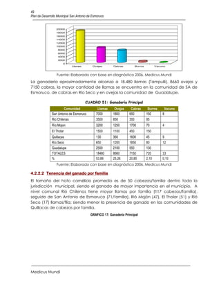 49
Plan de Desarrollo Municipal San Antonio de Esmoruco


                  20000
                  18000
                  16000
                  14000
                  12000
                  10000
                   8000
                   6000
                   4000
                   2000
                       0
                              Llamas        Ovejas       Cabras          Burros          Vacuno



                  Fuente: Elaborado con base en diagnóstico 2006, Medicus Mundi
La ganadería aproximadamente alcanza a 18.480 llamas (Tampulli), 8660 ovejas y
7150 cabras, la mayor cantidad de llamas se encuentra en la comunidad de SA de
Esmoruco, de cabras en Río Seco y en ovejas la comunidad de Guadalupe.

                                       CUADRO 51: Ganadería Principal
                       Comunidad               Llamas    Ovejas     Cabras         Burros     Vacuno
               San Antonio de Esmoruco        7000      1800       650            150        8
               Rio Chilenas                   3500      850        350            95
               Río Mojon                      3200      1250       1700           70         4
               El Tholar                      1500      1100       450            150
               Quillacas                      130       360        1600           45         9
               Río Seco                       650       1200       1850           80         12
               Guadalupe                      2500      2100       550            130
               TOTALES                        18480     8660       7150           720        33
               %                              53,89     25,26      20,85          2,10       0,10
                  Fuente: Elaborado con base en diagnóstico 2006, Medicus Mundi

4.2.2.2 Tenencia del ganado por familia
El tamaño del hato camélido promedio es de 50 cabezas/familia dentro toda la
jurisdicción municipal, siendo el ganado de mayor importancia en el municipio. A
nivel comunal Rió Chilenas tiene mayor llamas por familia (117 cabezas/familia),
seguido de San Antonio de Esmoruco (71/familia), Rió Mojón (47), El Tholar (51) y Rió
Seco (17) llamas/flia; siendo menor la presencia de ganado en las comunidades de
Quillacas de cabezas por familia.
                                          GRAFICO 17: Ganadería Principal




Medicus Mundi
 