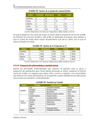 52
Plan de Desarrollo Municipal San Antonio de Esmoruco

                         CUADRO 53: Destino de la producción cabezas/familia

                        Ganado       Pron/familia      Autoconsumo          Venta            Trueque

                      Camélidos      6                 2,5            3                    0,5
                      Ovinos         4                 2,5            1,5
                      Caprinos       3                 1,7            1                    0,3
                      TOTAL          13                6,7            5,5                  0,8
                      Promedio       4,3               2,23           1,83                 0,27
                    Fuente: Elaborado con base en diagnóstico 2006, Medicus Mundi
En lo que respecta a la carne de oveja, el mayor destino es para la venta con el 50%,
el 41% para el consumo familiar y solo el 8% va destinado al trueque, esto debido a
que la carne de oveja tiene mayor requerimiento que de la cabra, por lo que el
precio también es mayor.

                                  CUADRO 54: Destino de la Producción en %
             Ganado        Carneado/flia        Autoconsumo          Venta            Trueque             Total
          Camélidos       6                    41,67              50,00             8,33               100,00
          Ovinos          4                    62,50              37,50             0,00               100,00
          Caprinos        3                    56,67              33,33             10,00              100,00
          TOTAL           13                   53,61              40,28             6,11               100,00
                    Fuente: Elaborado con base en diagnóstico 2006, Medicus Mundi

4.2.2.6 Presencia de enfermedades y sanidad animal
Dentro las principales enfermedades que afectan al ganado esta la sarna y
presencia de garrapatas que incide desde primavera a otoño, presente en llamas
como en ovejas. La ceguera que ataca más a ovinos y caprinos y las sarcocistiosis
que afecta a la carne de las llamas. En el siguiente cuadro detallamos las afecciones
provocados por parásitos y enfermedades:

                                      CUADRO 55: Parásitos por Ganado
             Ganado                Patología                    Nombre Científico                   Nombre Nativo
                          Piojo                          Lonognathu damaliana                     Itha( piojo)
                          Garrapata                      Sarcoptes scabiei                        Karachi
           Camélido
                          Parásitos                      Sarcosistosis                            Falsa Triquina
                          Tenias                         Moniezia benedini y expanza              Tenia
                          Fasciola Hepática              Fasciola Hepatica                        Tálpha laqu
                          Sarna                          Sarcoptes scabiei                        Karachi
                          Garrapata                      Amblyomma parvitarsum                    Garrapata
           Ovinos   y
                          Gusano                         Oestrus Ovis                             Muyu muyu
           Caprinos
                          Ceguera                        Conjuntivitivitis                        Ceguera
                          Piojo                                                                   Chuymap’usu
                          Bronquitis                     Dictyocaulus filaria                     Uju usu
           Equino         Piojo                          Lonognathu damaliana                     Itha( piojo)
                          Angina


Medicus Mundi
 