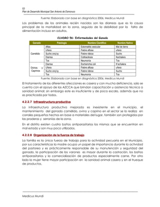 53
Plan de Desarrollo Municipal San Antonio de Esmoruco

                   Fuente: Elaborado con base en diagnóstico 2006, Medicus Mundi
Los problemas de los animales recién nacidos son las diarreas que es la causa
principal de la mortalidad en la zona, seguida de la debilidad por la falta de
alimentación incluso en adultos.

                                  CUADRO 56: Enfermedades del Ganado
          Ganado                  Patología                   Nombre Científico    Nombre Nativo
                       Aftas                           Estomatitis vesicular      Mal de tierra
                       Uñera                           Fiebre aftosa              uñera
        Camélido       Sucho onq’oy                    Fiebre rábica              Sucho
                       Diarrea                         Colibacilosis              Kechalera
                       Tos                             Neumonía                   Tos
                       Diarrea                         Escherichia coli           K’echalera
        Ovinos   y     Uñera                           Fiebre aftosa              uñera
        Caprinos       Sucho onq’oy                    Fiebre rábica              Sucho
                       Tos                             Neumonía                   Tos
                   Fuente: Elaborado con base en diagnóstico 2006, Medicus Mundi
El tratamiento de las diferentes afecciones es casera y con mucha deficiencia, solo se
cuenta con el apoyo de las AZCCA que brindan capacitación y asistencia técnica a
sanidad animal; sin embargo este es insuficiente y de poca escala, además que no
es practicada por todos.

4.2.2.7 Infraestructura productiva
La infraestructura productiva mejorada es inexistente en el municipio, el
mantenimiento del ganado camélido, ovino y caprino en el sector se lo realiza en
corrales pequeños hechos en base a materiales del lugar, también son protegidos por
las praderas y serranías de la zona.
En el distrito existen cuatro baños antiparasitarios los mismos que se encuentran en
mal estado y son muy poco utilizados.

4.2.2.8 Organización de la fuerza de trabajo
La familia es la única fuerza de trabajo para la actividad pecuaria en el Municipio,
por sus características la madre ocupa un papel de importancia durante la actividad
del pastoreo y es prácticamente responsable de su manutención y seguridad del
ganado, la participación de los varones es mayor durante la castración, los baños
antiparasitarios y la comercialización de productos especialmente carne. Por otro
lado la mujer tiene mayor participación en la sanidad animal casera y en el trueque
de productos.




Medicus Mundi
 
