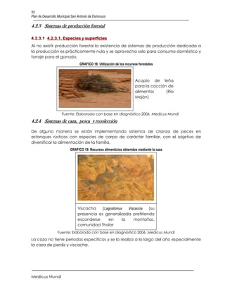55
Plan de Desarrollo Municipal San Antonio de Esmoruco

4.2.3 Sistemas de producción forestal

4.2.3.1 4.2.3.1. Especies y superficies
Al no existir producción forestal la existencia de sistemas de producción dedicada a
la producción es prácticamente nula y se aprovecha solo para consumo doméstico y
forraje para el ganado.
                                 GRAFICO 18: Utilización de los recursos forestales



                                                                      Acopio de leña
                                                                      para la cocción de
                                                                      alimentos      (Río
                                                                      Mojón)



                     Fuente: Elaborado con base en diagnóstico 2006, Medicus Mundi
4.2.4 Sistemas de caza, pesca y recolección

De alguna manera se están implementando sistemas de crianza de peces en
estanques rústicos con especies de carpa de carácter familiar, con el objetivo de
diversificar la alimentación de la familia.
                           GRAFICO 19: Recursos alimenticios obtenidos mediante la caza




                                Viscacha    (Lagostomus   Viscaccia )su
                                presencia es generalizada prefiriendo
                                esconderse     en      la    montañas,
                                comunidad Tholar
                  Fuente: Elaborado con base en diagnóstico 2006, Medicus Mundi
La caza no tiene periodos específicos y se lo realiza a lo largo del año especialmente
la caza de perdiz y viscacha.




Medicus Mundi
 