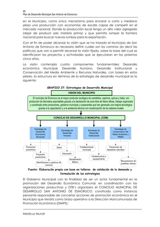 85
Plan de Desarrollo Municipal San Antonio de Esmoruco

en el Municipio, como único mecanismo para encarar a corto y mediano
plazo una producción con economías de escala capaz de competir en el
mercado nacional. Donde la producción local tenga un alto valor agregado
(dejar de producir solo materia prima) y que permita romper la frontera
nacional para buscar nuevos rumbos para la exportación.
Con el fin de poder alcanzar la visión que se ha trazado el Municipio de San
Antonio de Esmoruco es necesario definir cuales son los caminos (es decir las
políticas) que van a permitir alcanzar la visión fijada, sobre la base del cual se
identificaran los proyectos y actividades que se ejecutaran en los próximos
cinco años.
La visión contempla cuatro componentes fundamentales: Desarrollo
económico Municipal, Desarrollo Humano, Desarrollo Institucional y
Conservación del Medio Ambiente y Recursos Naturales, con bases en estos
pilares, la estructura en términos de la estrategia de desarrollo municipal es la
siguiente:

                           GRAFICO 27: Estrategias de Desarrollo Municipal
                                                     VISION DEL MUNICIPIO

         El municipio de Esmoruco es el mayor productor ecológico de camélidos, caprinos, quinua y haba, con
     producción de derivados exportables gracias a la declaración de zona libre de fiebre aftosa, trabajo organizado
      y coordinado entre productores, gobierno municipal y cooperantes que han generado una mejora tecnológica
               gracias a la capacitación y a la asistencia técnica con revalorización de los saberes locales


                                  CONCEJO DE DESARROLLO MUNICIPAL (CDM)



           Estrategia de                                                                              Estrategia de
                                              Estrategia de            Estrategia de
            Desarrollo                                                                               Conservación del
                                               Desarrollo               Desarrollo
            Económico                                                                                Medio Ambiente y
                                                Humano                 Institucional
             Municipal                                                                                    RRNN



  Promoción                          Salud                     Fortalecimiento                   Prevención de
  económica                                                      municipal                     desastres naturales

            Proyectos                          Educación
           productivos                                                     Infraestructura y
                                                      Saneamiento            equipamiento
                                                        Básico                                                Recuperacion de
              Electrificacion y apertura de
                                                                                                              praderas nativas
                         caminos

     Fuente: Elaboración propia con base en talleres de validación de la demanda y
                                          formulación de las estrategias

El Gobierno Municipal con la finalidad de ser un actor fundamental en la
promoción del Desarrollo Económico Comunal, en coordinación con las
organizaciones productivas y OTB’s organizara el CONCEJO MUNICIPAL DE
DESARROLLO SAN ANTONIO DE ESMORUCO; constituido como instancia
pensante responsable de concertar acciones de promoción económica en el
Municipio que tendrá como brazo operativo a la Dirección Mancomunada de
Promoción Económica (DIMPE).


Medicus Mundi
 