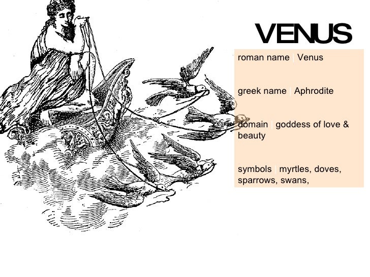 12 Roman Gods/Goddesses