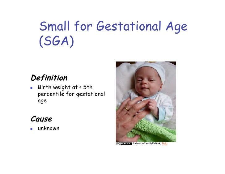 05 11 09 b fetal and neonatal development fetal weight percentile chart