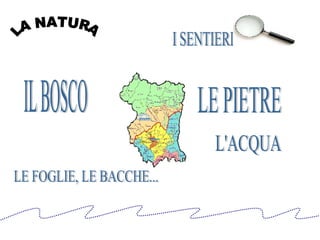 LA NATURA IL BOSCO LE FOGLIE, LE BACCHE... I SENTIERI L'ACQUA LE PIETRE 