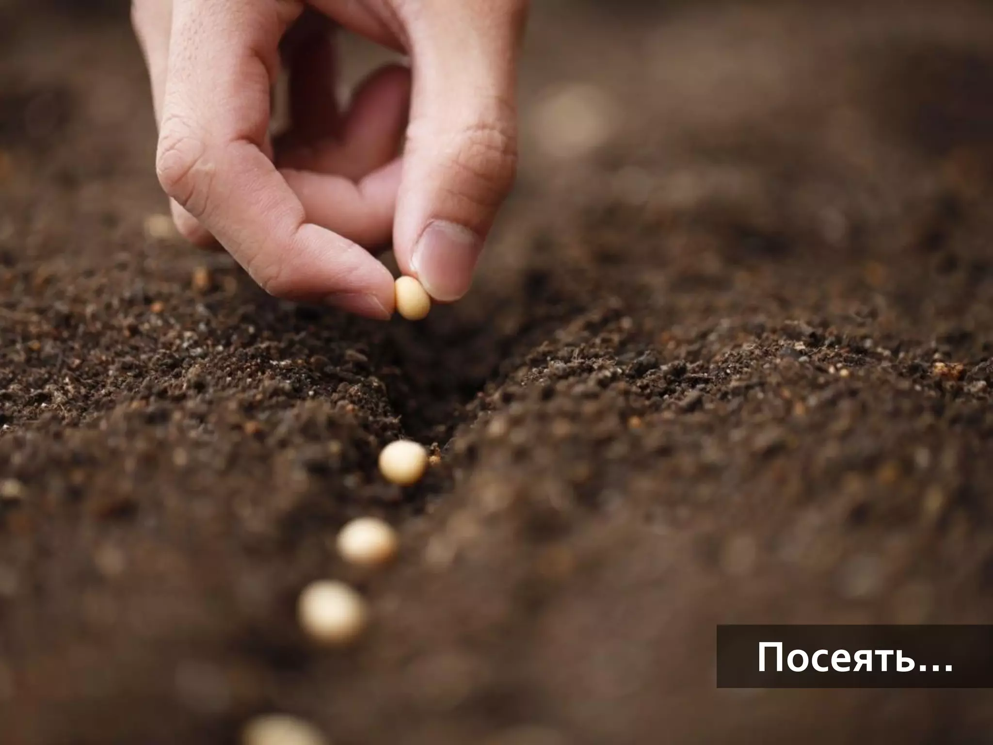 | Любовь и конкуренция
2
7
Посеять…
 