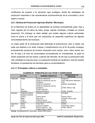 HONORABLE ALCALDÍA MUNICIPAL ACASIO                                132
____________________________________________________________________________________

modificarse de acuerdo a la ubicación agro ecológica, donde las estrategias de
producción responden a las características socioeconómicas de la comunidad y micro
región o cuenca.

d.2.1. Sistema de Producción Agrícola (Distrito / Municipio).

En el Municipio de Acasio en su generalidad se produce principalmente papa, trigo y
maíz, seguido por el cultivo de haba, arveja, cebada, hortalizas y frutales en mínima
proporción. Sin embargo se debe señalar que existen algunos cultivos potenciales
como la avena y el tarwi que son producidos en pequeñas superficies de algunas
comunidades dentro del municipio.

La mayor parte de la producción está destinada al autoconsumo, pero si existe una
parte que destinan a la venta, trueque y transformación con el fin de poder conseguir
principalmente productos de primera necesidad como azúcar, arroz, fideo, aceite, sal,
etc. El trigo y el maíz se comercializan principalmente en Cochabamba, la papa en
menor proporción por los costos y precios del mercado, de ahí que su producción esta
más orientada al consumo local. La producción frutícola se mantiene a nivel de huertos
familiares, sin perspectiva de mercados para su comercialización.

d.2.1.1. Principales cultivos y variedades

                CUADRO 81 PRINCIPALES CULTIVOS Y VARIEDADES
                                                                      VARI EDADES Y/O
            CULTIVO                      NOMBRE CIENTIFICO
                                                                           ESP ECI ES
Tubérculo     Papa                 Solanum tuberosum             Huaych’a
                                   Solanum tuberosum sub sp.     Sani imilla,Runa, Malcacho
                                   Andigena                      Luki
                                   Solanum jusephzuk i           Ajonjori, Sacampaya.
                                   Solanum jusephzuk i sub sp
                                   andígena                      Criolla, blanc a, roja
              Oca                  Oxalis tuberosa
              Papaliza             Ullucus tuberosus             Criollo, Amarilla
Cereales      Cebada forrajera     Hordeum vulgare               Forrajera
              Cebad cervecera
              A vena              Avena sativa                   A vena común
              Maíz                Zea maiz                       Amarillo, blanco, gris
              Trigo               Triticum durum                 Criollo
              Quinua              Chenopodium quinoa             Quinua
Legumino-     Haba                Vicia faba                     Criolla
Sas           Tarwi               Lupinus mutabilis              Yana ñawi, blanco
              Arveja              Pisum sativum L. Var.          Criolla, blanc a
                                  Vulgare (liso y rugoso)
Fuente: Autodiagnósticos comunales. Ajuste PDM Acasio

____________________________________________________________________________________
Ajuste del Plan de Desarrollo Municipal 2003         ASPECTO ECONOMICO PRODUCTIVO
 