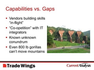 Capabilities vs. GapsVendors building skills “in-flight”“Co-opetition” with IT integratorsKnown unknown conundrumEven 800 lb gorillas can’t move mountains