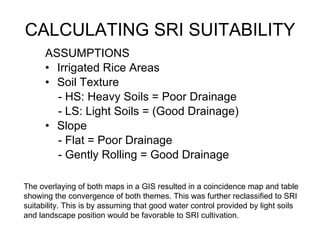CALCULATING SRI SUITABILITY ,[object Object],[object Object],[object Object],[object Object],[object Object],[object Object],[object Object],[object Object],The overlaying of both maps in a GIS resulted in a coincidence map and table showing the convergence of both themes. This was further reclassified to SRI suitability. This is by assuming that good water control provided by light soils and landscape position would be favorable to SRI cultivation. 