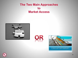 43
The Two Main Approaches
to
Market Access
 