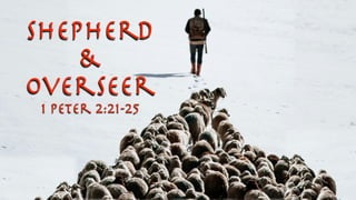 Shepherd
&
Overseer
1 Peter 2:21-25
 