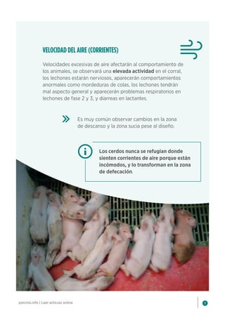 9
porcino.info | Leer artículo online
VELOCIDAD DEL AIRE (CORRIENTES)
Velocidades excesivas de aire afectarán al comportamiento de
los animales, se observará una elevada actividad en el corral,
los lechones estarán nerviosos, aparecerán comportamientos
anormales como mordeduras de colas, los lechones tendrán
mal aspecto general y aparecerán problemas respiratorios en
lechones de fase 2 y 3, y diarreas en lactantes.
Es muy común observar cambios en la zona
de descanso y la zona sucia pese al diseño.
Los cerdos nunca se refugian donde
sienten corrientes de aire porque están
incómodos, y lo transforman en la zona
de defecación.
 