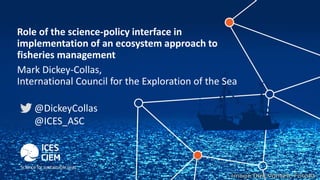 Role of the science-policy interface in
implementation of an ecosystem approach to
fisheries management
Mark Dickey-Collas,
International Council for the Exploration of the Sea
@DickeyCollas
@ICES_ASC
 