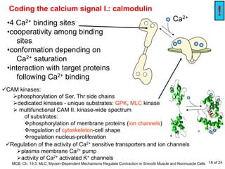 intracellular homeostasis of the cytoskeleton. | PDF