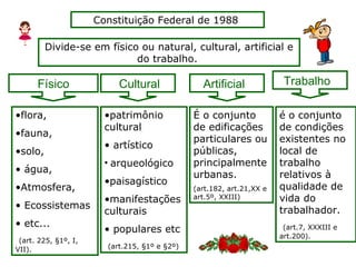 Divide-se em físico ou natural, cultural, artificial e
do trabalho.
Constituição Federal de 1988
Cultural Artificial TrabalhoFísico
•flora,
•fauna,
•solo,
• água,
•Atmosfera,
• Ecossistemas
• etc...
(art. 225, §1º, I,
VII).
•patrimônio
cultural
• artístico
• arqueológico
•paisagístico
•manifestações
culturais
• populares etc
(art.215, §1º e §2º)
É o conjunto
de edificações
particulares ou
públicas,
principalmente
urbanas.
(art.182, art.21,XX e
art.5º, XXIII)
é o conjunto
de condições
existentes no
local de
trabalho
relativos à
qualidade de
vida do
trabalhador.
(art.7, XXXIII e
art.200).
 