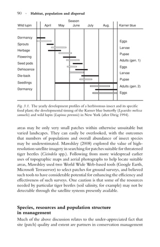 90 · Habitat, population and dispersal
AprilWild lupin
Dormancy
Sprouts
Herbage
Flowering
Seed pods
Dehiscence
Die-back
Seedlings
Dormancy
May
Season
June July Aug. Karner blue
Eggs
Larvae
Pupae
Adults (gen. 1)
Eggs
Larvae
Pupae
Adults (gen. 2)
Eggs
Fig. 3.1. The yearly development proﬁles of a herbivorous insect and its speciﬁc
food plant; the developmental timing of the Karner blue butterﬂy (Lycaeides melissa
samuelis) and wild lupin (Lupinus perennis) in New York (after Dirig 1994).
areas may be only very small patches within otherwise unsuitable but
varied landscapes. They can easily be overlooked, with the outcomes
that numbers of populations and overall abundance of insect species
may be underestimated. Mawdsley (2008) explored the value of high-
resolution satellite imagery in searching for patches suitable for threatened
tiger beetles (Cicindela spp.). Following from more widespread earlier
uses of topographic maps and aerial photographs to help locate suitable
areas, Mawdsley used two World Wide Web-based tools (Google Earth,
Microsoft Terraserver) to select patches for ground surveys, and believed
such tools to have considerable potential for enhancing the efﬁciency and
effectiveness of such surveys. One caution is that some of the resources
needed by particular tiger beetles (soil salinity, for example) may not be
detectable through the satellite systems presently available.
Species, resources and population structure
in management
Much of the above discussion relates to the under-appreciated fact that
site (patch) quality and extent are partners in conservation management
 